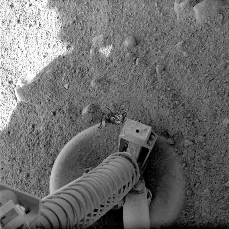 Illustration for article titled 30 Mars Phoenix Discoveries NASA Will Never Show the World